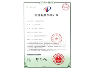 專(zhuān)利2