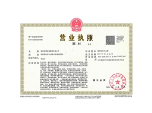集團營業(yè)執(zhí)照